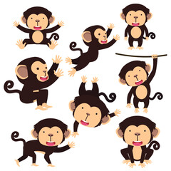 Cute monkey cartoon character set