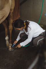 Woman groomer washes a horse's hooves after class at the hippodrome. A woman takes care of a horse,...