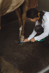 Woman groomer washes a horse's hooves after class at the hippodrome. A woman takes care of a horse,...