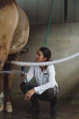 Woman groomer washes a horse's hooves after class at the hippodrome. A woman takes care of a horse,...