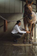 Woman groomer washes a horse's hooves after class at the hippodrome. A woman takes care of a horse,...