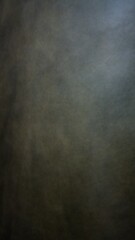 Fototapeta premium Abstract image and speed in white, black, green, red, brown and gray.