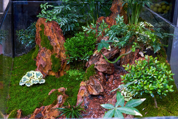 Green vegetation plants in rockery and flowing water landscape