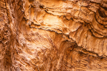 Wadi Ghuweir canyon landscape, Jordan.