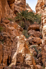 Wadi Ghuweir canyon landscape, Jordan.