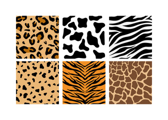 Animal skin set design background illustration vector