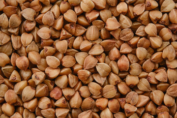 Background of buckwheat groats. Background of buckwheat seed.