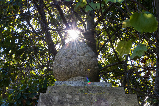 Stone figurine of a Swiss pine nut in an overgrown pergola in the small coastal town of Procchio on the island of Elba in Italy