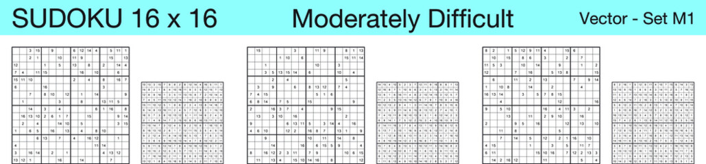 A set of 3 moderately difficult scalable sudoku 16x16 puzzles suitable for kids, adults and seniors and ready for web use, or to be compiled into a standard or large print activity book.