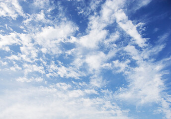 Fototapeta premium 空