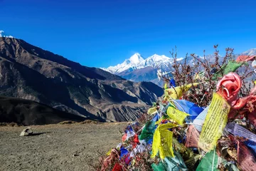 Crédence de cuisine en verre imprimé Dhaulagiri A bush wrapped with prayer flags in Mustang region, along Annapurna Circuit Trek in Nepal. In the back there is snow capped Dhaulagiri I. Barren and steep slopes. Harsh condition.Spirituality.