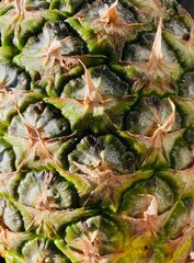 close up of the scaly skin of a pineapple fruit