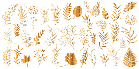 Hand drawn gold plant set - universally usable. Flower branch and minimalistic modern plants. Hand drawn lines, elegant leaves for your own design. Botanical, chic and trendy plants.