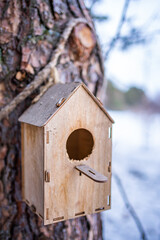 Wooden birdhouse on pine tree in the winter forest in Siberia, Russia