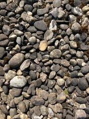 a bunch of irregular pebbles