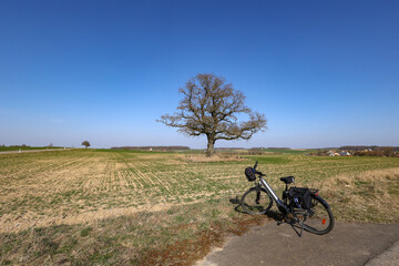 Spring landscape with a bicycle in the foreground