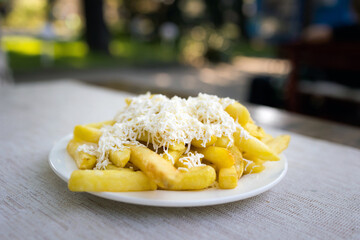 Delicious bulgarian food fries with cheese