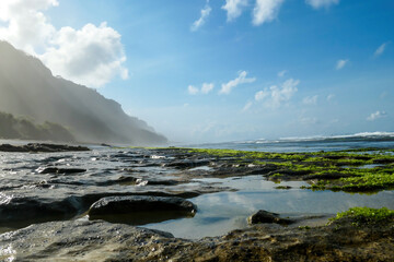 A view on idyllic, stony Nyang Nyang beach, covered with algae and seaweed, Bali, Indonesia. There are cliff on the side. Black lava beach. Discovering and exploring new places, hidden gem. Clear day.