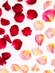 Abstract flower background, rose petals close-up, rose petals background