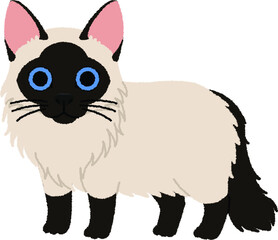 バリニーズの猫イラスト