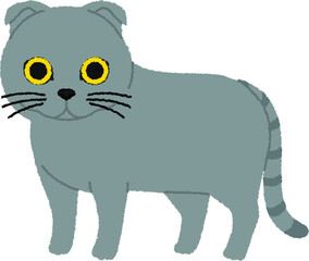 スコティッシュフォールドの猫イラスト