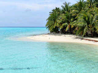 Blue Maldive islands seascape with geen foliage and bird