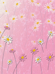 Delicate pink background with daisies. Using texture.