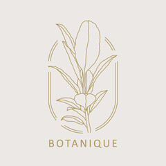 Trendy minimalist botanical abstract bohemian design icon