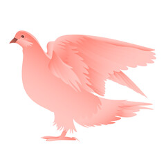 Drawing with the image of a pigeon. Pink pigeon on a white background.