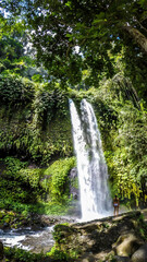 Naklejka premium A girl in bikini standing under two levelled waterfall in Lombok, Indonesia. Tiu Kelep Waterfall is surrounded by lush green plants from each side. Long and powerful waterfall. Beauty of the nature.