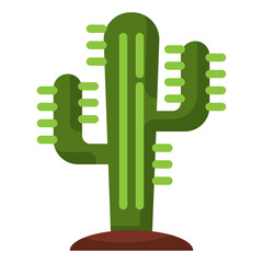 Simple cactus flat icon, plant and tree related concept on the white background