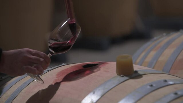 Winemaker Making Wine Test in Winery Cellar. High quality 4k footage