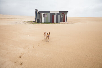 Tin City, Port Stephens, NSW, Australia