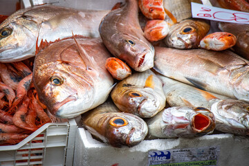 fresh fish at the market,  fish market in catania, sicily, italy, europe