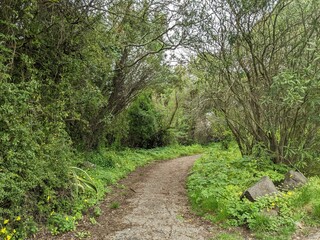path in the park