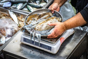 fish in the market, squids, hands, scale, fish market, catania, sicily, italy, europe © Andrea Aigner