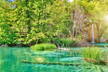 Milino Jezero lake with underground trees and waterfalls of Plitvice Lakes NP in Croatia. Natural forest park in the Lika region. UNESCO World Heritage of Croatia named Plitvicka Jezera.