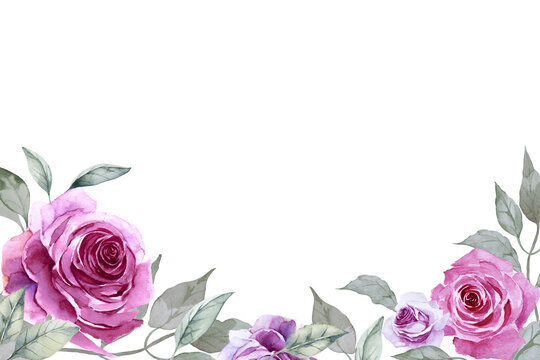 Horizontal floral border or banner with beautiful purple roses with leaves on white background. Hand drawn watercolor. Copy space.