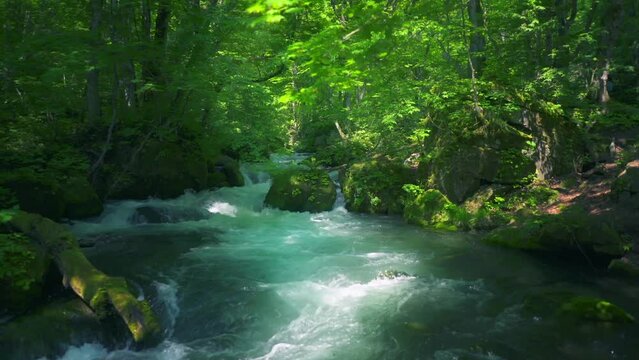 奥入瀬渓流