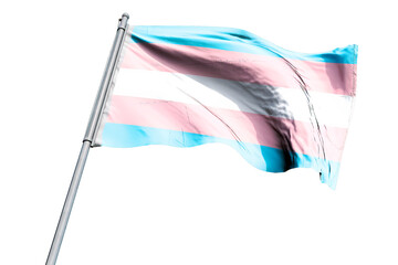 Transgender flag ,National Transgender HIV Testing Day: Raising Visibility to End HIV - obrazy, fototapety, plakaty