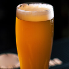 glass od light craft beer on wooden table square