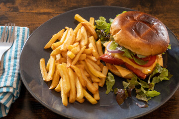tasty salmon burger with fries on plate in a plate