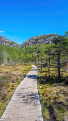 Fototapeta na wymiar A marvelous pathway leading to the hidden adventures in the mountains. The pathway is made of wooden railings. Both sides of it overgrown with trees. In the back tall mountains emerging. Clear sky.