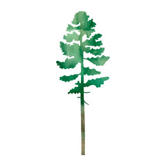 Obraz premium Hand painted watercolor illustration of pine tree silhouette. Isolated objects on white background.