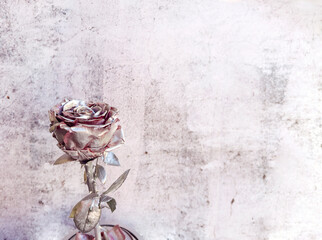 Beautiful silver rose with copy space 