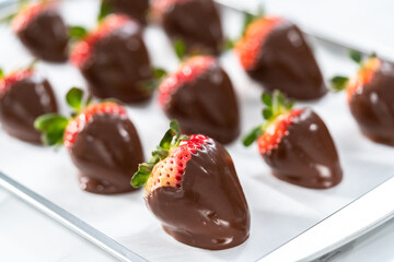 Chocolate dipped strawberries