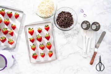 Chocolate dipped strawberries