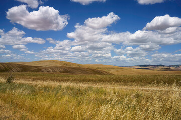 Fototapeta premium Rural landscape along the Cassia near Radicofani, Tuscany