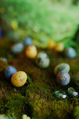Easter colored eggs on green grass with blurred background