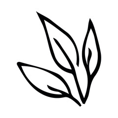 Simple leaf illustration isolated on white background. Hand drawn vector clipart. Botanical doodle for print, web, design, decor, logo.